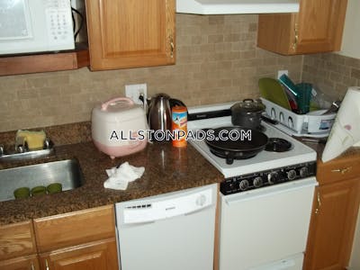 Allston Apartment for rent Studio 1 Bath Boston - $1,900 No Fee