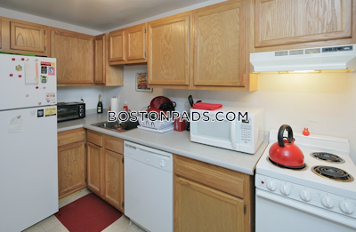 Allston 2 Beds 1 Bath Boston - $2,550 No Fee