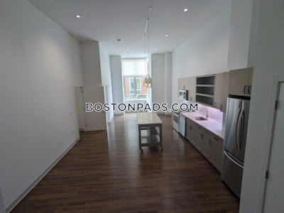 Jamaica Plain 2 Beds 2 Baths Boston - $4,780 No Fee