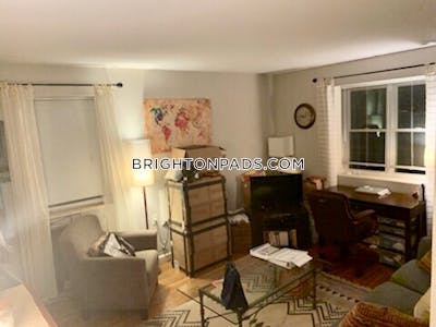 Brighton Apartment for rent 1 Bedroom 1 Bath Boston - $2,350 No Fee
