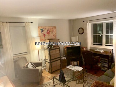Brighton Apartment for rent 1 Bedroom 1 Bath Boston - $2,350 No Fee
