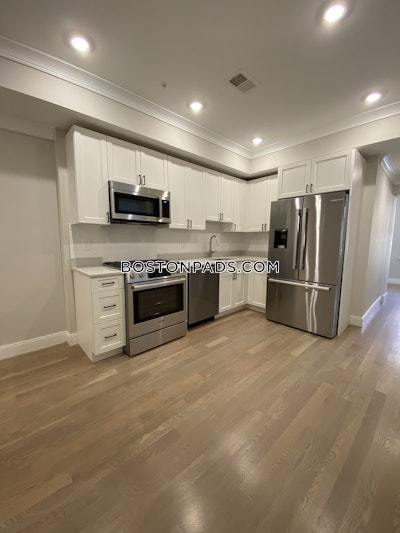 Brighton 2 Beds 1 Bath Boston - $3,495 No Fee