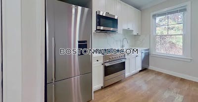 Brighton 1 Bed 1 Bath Boston - $3,000 No Fee