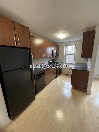 Brighton Apartment for rent 2 Bedrooms 1 Bath Boston - $3,691 No Fee