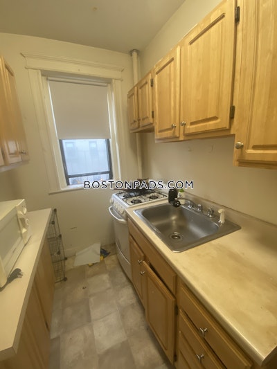 Allston Apartment for rent 1 Bedroom 1 Bath Boston - $2,350 No Fee