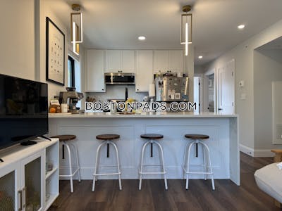 Brighton Apartment for rent 3 Bedrooms 3 Baths Boston - $4,500 No Fee