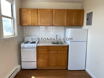 Allston/brighton Border Apartment for rent 1 Bedroom 1 Bath Boston - $2,300 No Fee