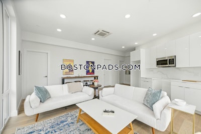 Brighton Apartment for rent 2 Bedrooms 1 Bath Boston - $3,675 No Fee