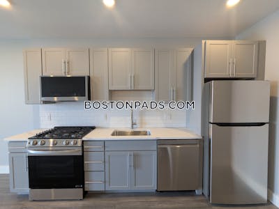 Brighton Apartment for rent 1 Bedroom 1 Bath Boston - $3,300 No Fee