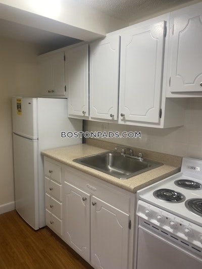 Brighton Apartment for rent 1 Bedroom 1 Bath Boston - $2,100 No Fee