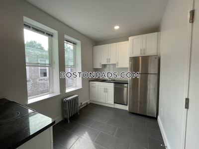 Brighton Apartment for rent 1 Bedroom 1 Bath Boston - $2,725 No Fee