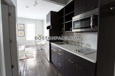 Worcester  Studio 1 baths - $1,350 No Fee