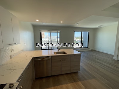 Allston 2 bedroom 2.5 baths in BOSTON Boston - $4,300 No Fee
