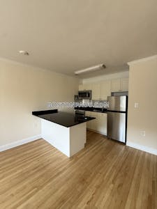 Brookline Apartment for rent 1 Bedroom 1 Bath  Coolidge Corner - $2,840 No Fee