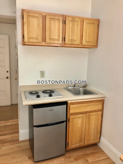Brookline Apartment for rent Studio 1 Bath  Boston University - $1,995 No Fee