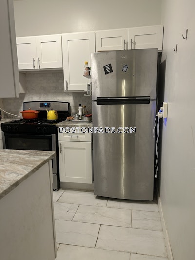 Allston Apartment for rent 1 Bedroom 1 Bath Boston - $2,500 No Fee