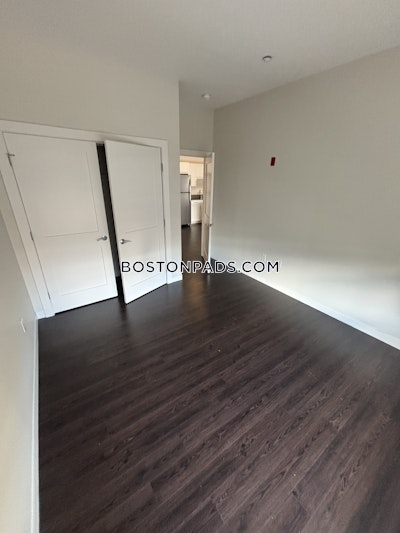 Allston Apartment for rent 1 Bedroom 1 Bath Boston - $4,062 No Fee
