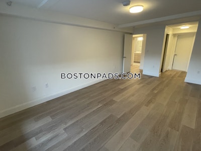 Allston Apartment for rent 2 Bedrooms 2.5 Baths Boston - $3,650 No Fee