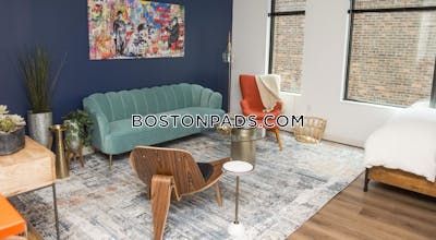 Allston Apartment for rent Studio 1 Bath Boston - $2,875 No Fee